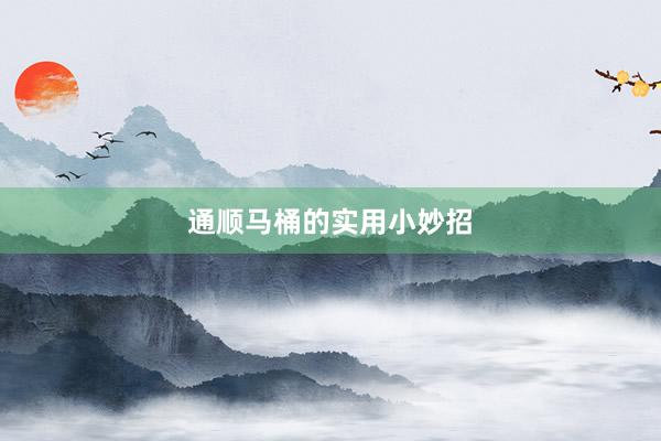 通顺马桶的实用小妙招